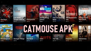 CatMouse: An Online Streaming App - The Ultimate Entertainment Experience